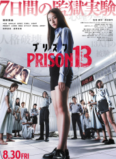 Prison 13