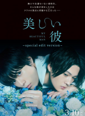 Utsukushii Kare: Special Edit Version