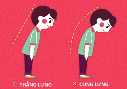 Phải cúi chào thế nào mới đúng kiểu của người Nhật? - Phần 3