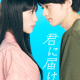 Kimi ni Todoke